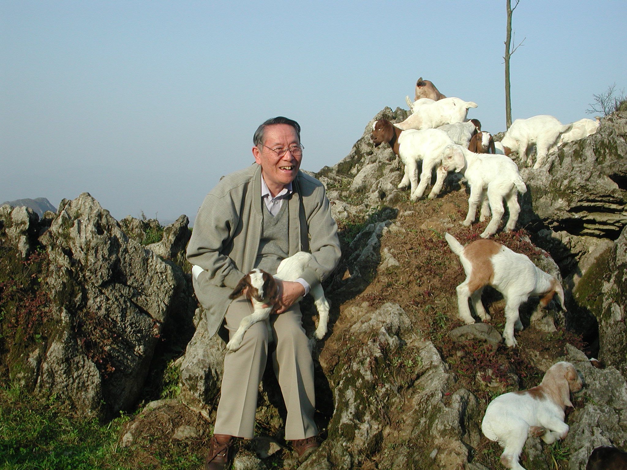 ���L(f��ng)�š��ݡ� н����������2023��ȫ���̕����˿�ģ���m��������^��