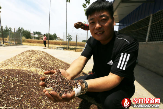 ��ᄾƽ��硱���Ľܵĺ�С������