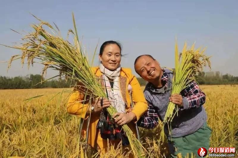 һ���r��40�f(w��n)�����ל��N����(j��)�(y��ng)�l(xi��ng)������ꄓ(chu��ng)�I(y��)�������ڡ�