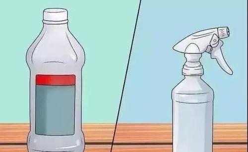 ���� | �ƾ������m������ǧ�fҪ�h(yu��n)�x�@Щ�ط����@�����Ű�ȫ