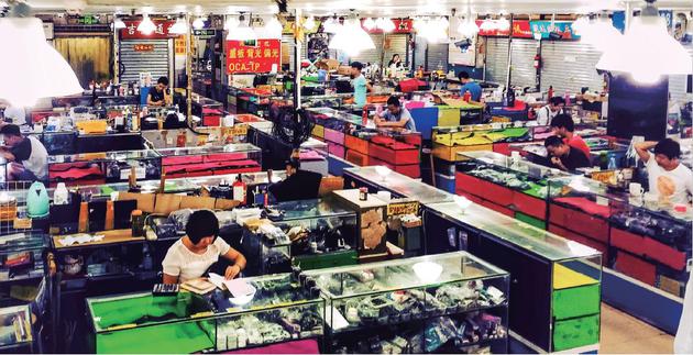 ͵�ġ���һ�󰸡�����ɫ��W(w��ng)վ����(j��)���������a��(bi��o)�r(ji��)