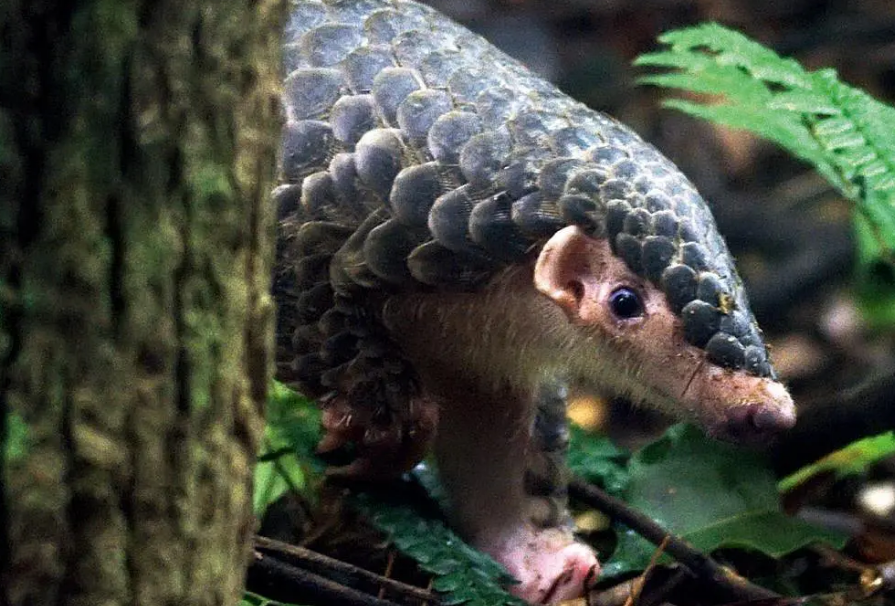 ��ɽ�������M�����F����Щ��?y��n)����?l��i)��������ʧ���Ї�(gu��)��(d��ng)��