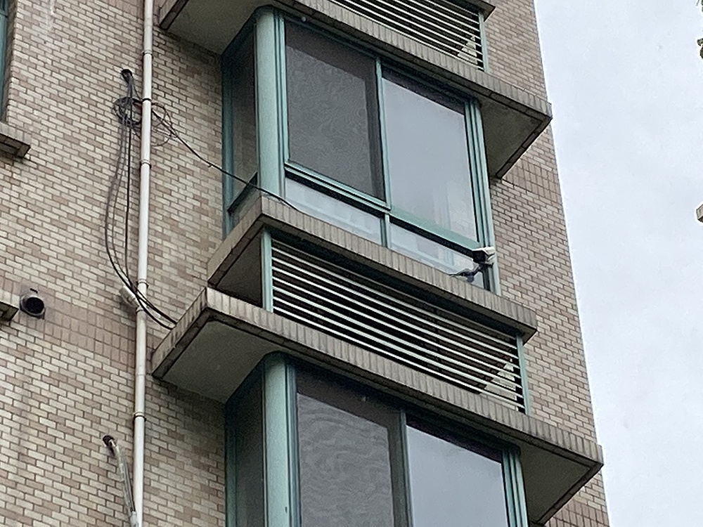 ������ǰ���(zh��n)���B�̡����롱���c����������