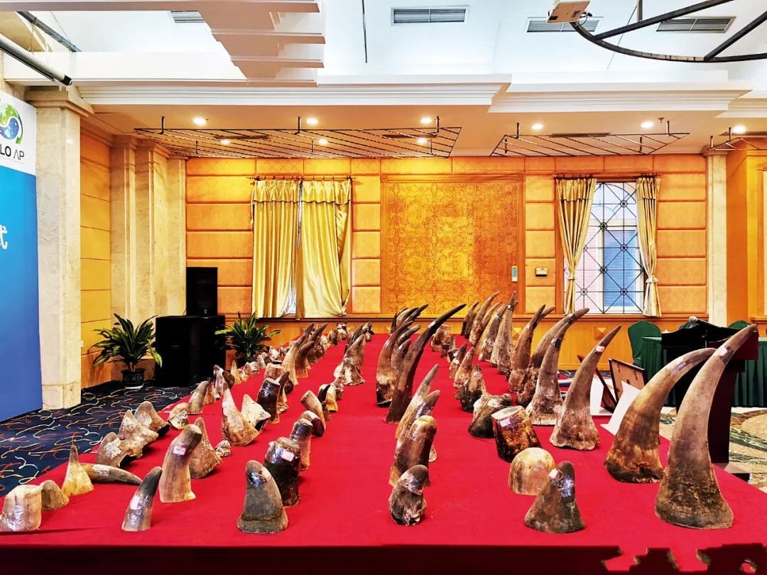 Ϭţ�ǿ����˽朗l���ӌ���˽�W(w��ng)�j���B(t��i)���s�����Ͻ��׼Ӵ��(zh��)���y��