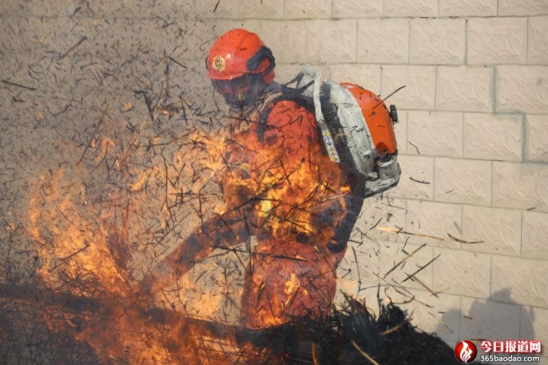  �½�����ɭ������������ز���ץ������(zh��n)��