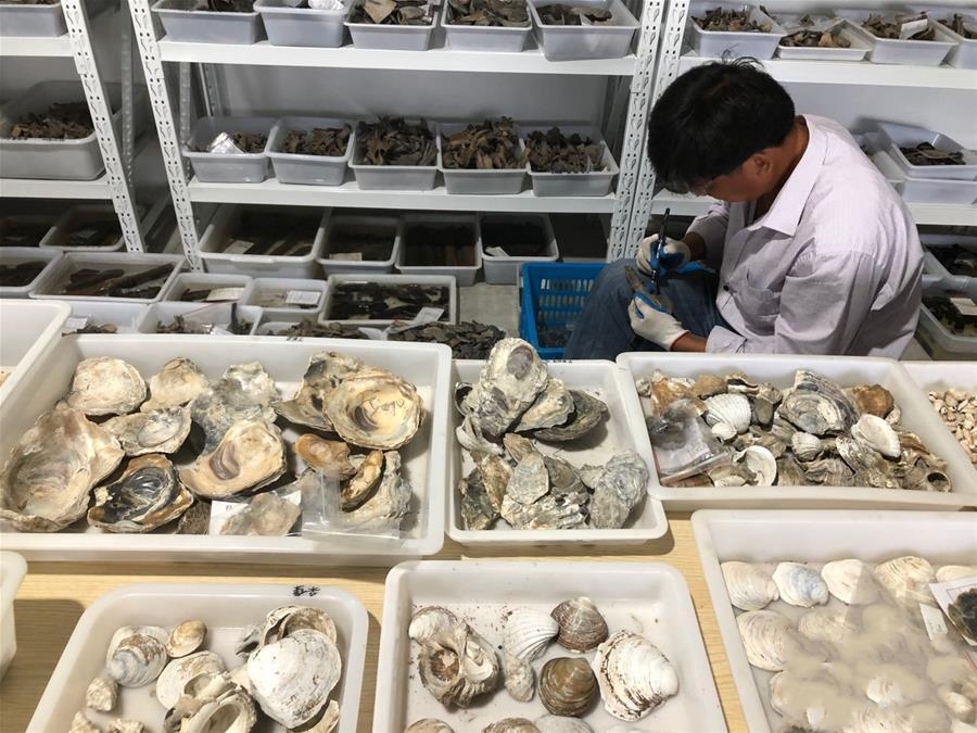 �㽭��Ҧ�l(f��)�F(xi��n)���ں�ķ���Ļ�1000���ʷǰ�zַ