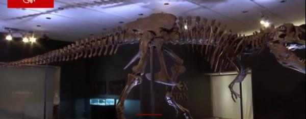 �������������������Ǽ����u�r2.16�|Ԫ�ɽ���ˢ������o�