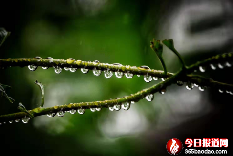 �½� Microsoft Word 97 - 2003 �ęn16266.png