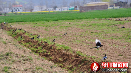 �½� Microsoft Word 97 - 2003 �ęn899.png