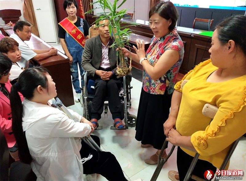 ɽ�|۰�ǣ��������M�����v�á����M�W(xu��)���ü��g(sh��)