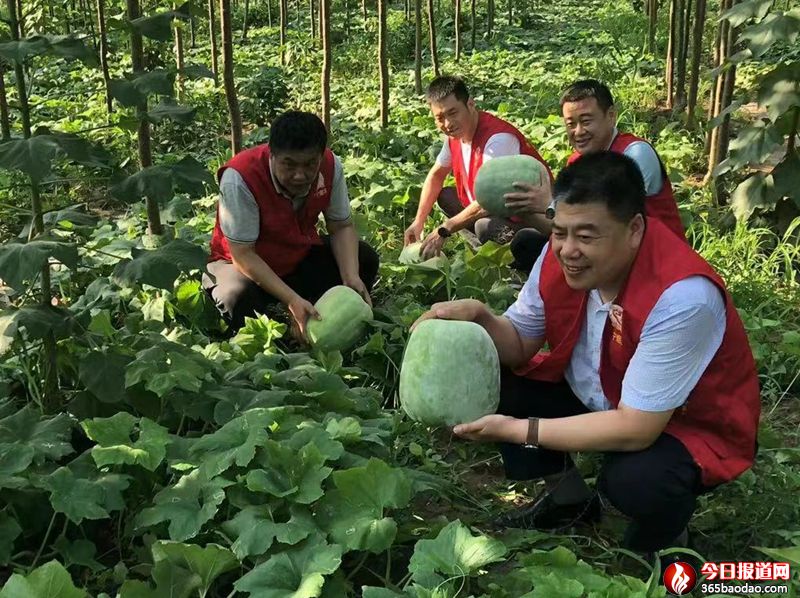  ɽ�|ʡ����h���݌��u�֣��I�N�����_չ���Ҟ�Ⱥ���k���¡����`���