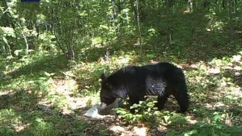 �҇��״ΰl(f��)�F(xi��n)�|�����Ժ��ܵ����FӰ����߀��ð����⡱