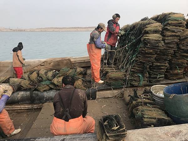 ����֮�µİ�������ɽ����O���A���{(di��o)��