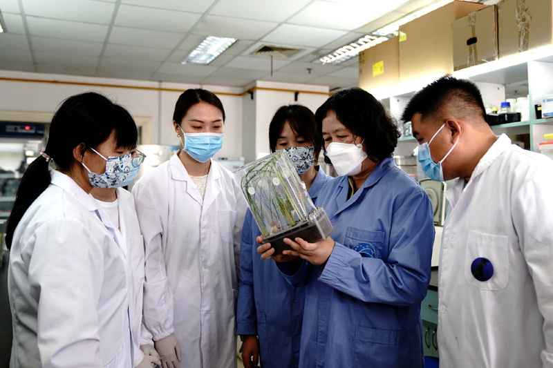 �҇��چ��쌍�œ�_չ�M�Ͻ��ˮ�����ķN�ӵ��N�ӡ�ȫ�������ڌ��